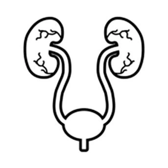 UROLOGY